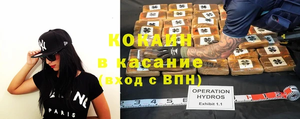 сатива Алексин