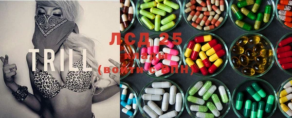 стаф Алзамай