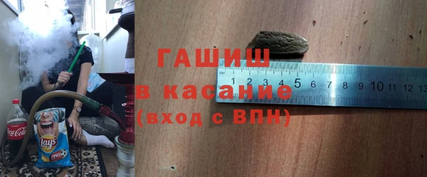 стаф Алзамай