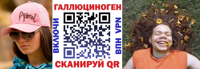 продажа наркотиков  Бавлы  Галлюциногенные грибы Cubensis 